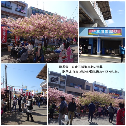 三浦海岸へお花見と、ウォーキング_c0051105_20422737.jpg