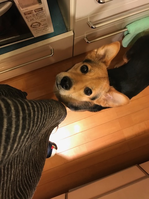d0046821_20255478.jpeg