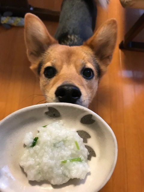 d0046821_20261319.jpeg