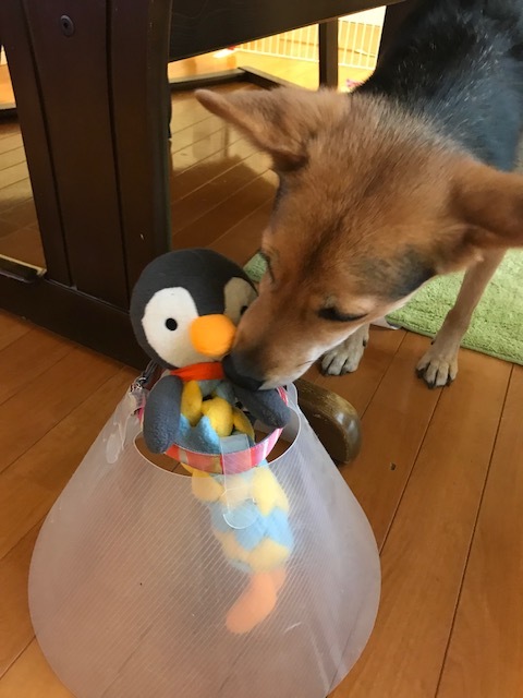d0046821_20264529.jpeg