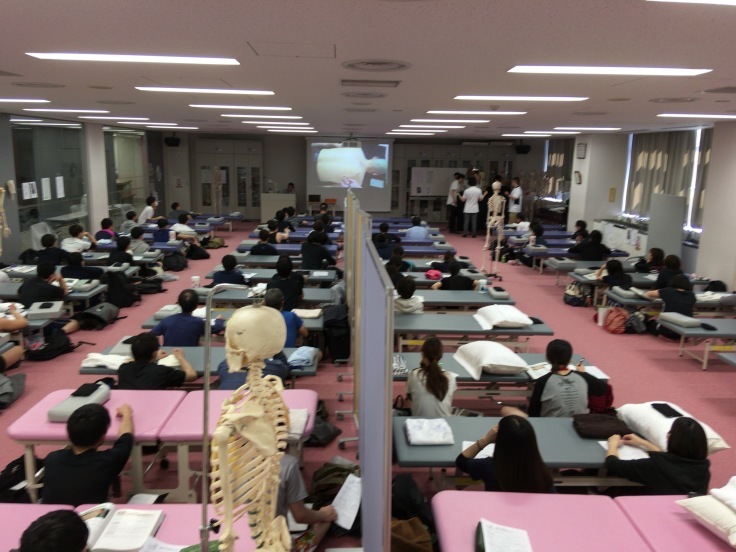 第22回運動器系体表解剖セミナー 講師のお仕事_b0329026_11543569.jpeg
