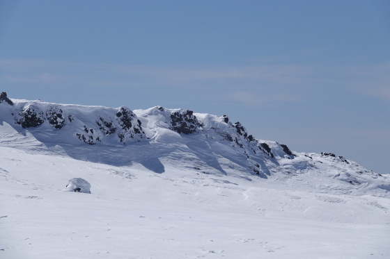 f0118332_15524625.jpg