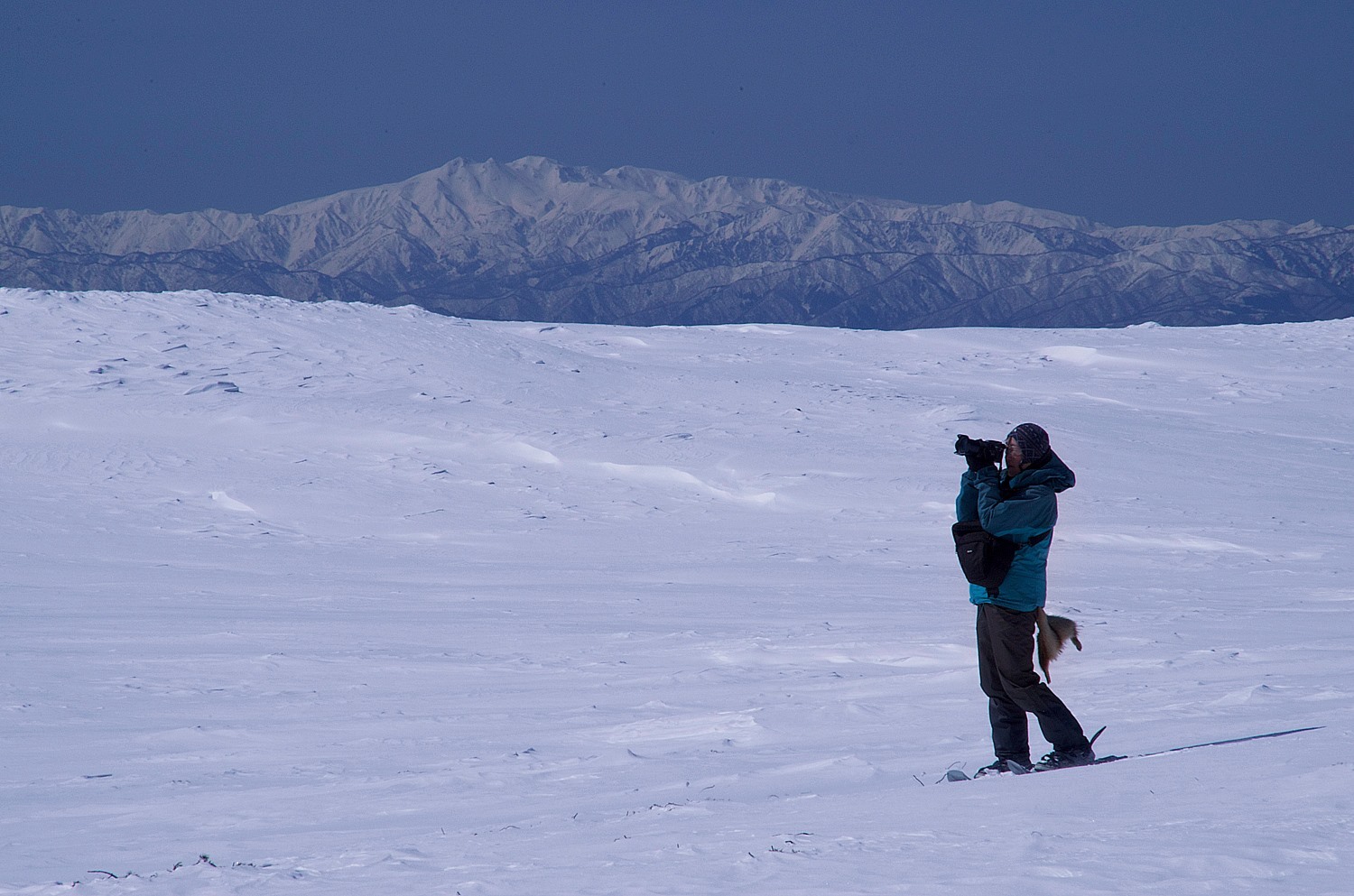 f0118332_16305439.jpg