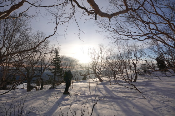 f0118332_17483877.jpg