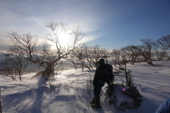 f0118332_17493040.jpg