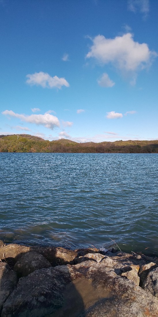 e0376933_15361946.jpg