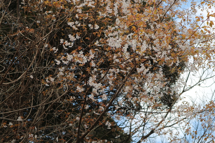 e0272335_18361811.jpg