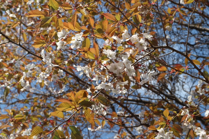 e0272335_1844020.jpg