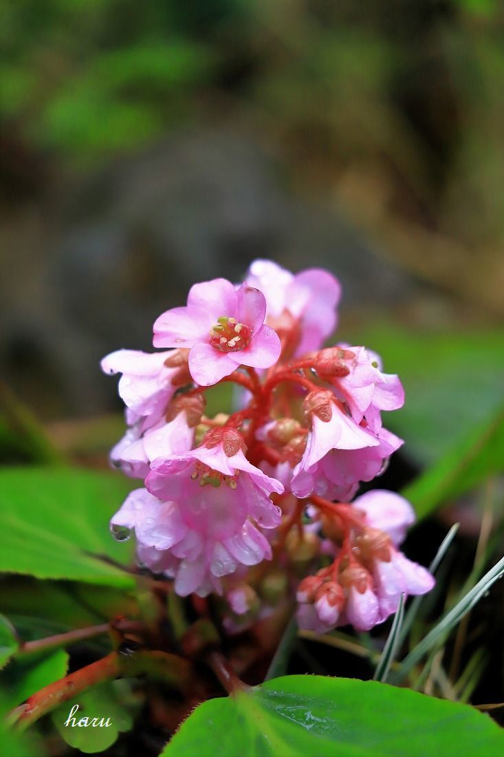 f0297537_12041423.jpg
