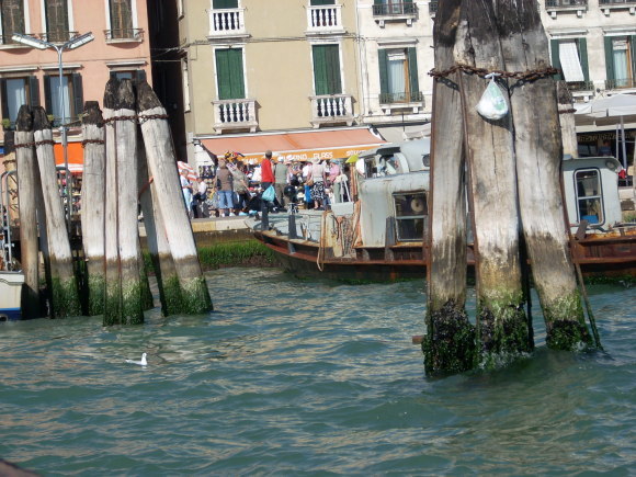 f0300143_15032694.jpg