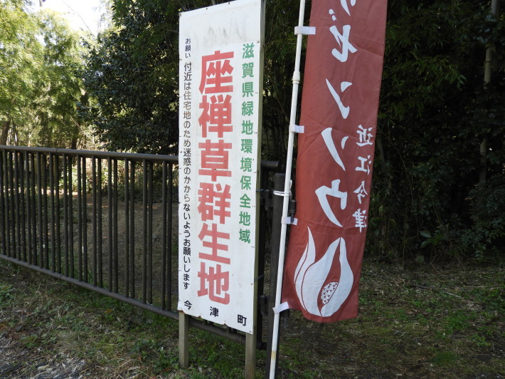 d0154954_10464574.jpg