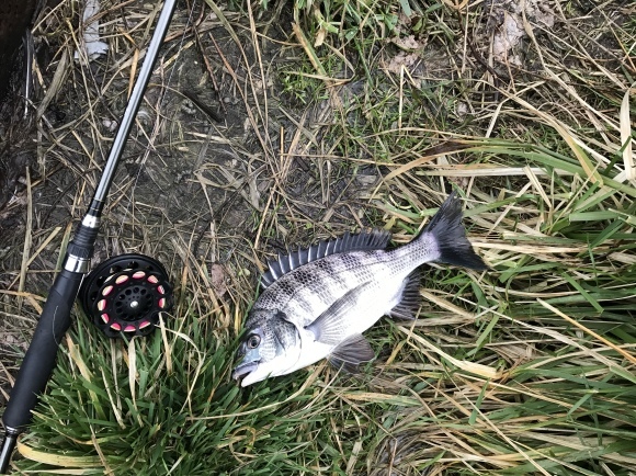 b0206856_17402543.jpeg