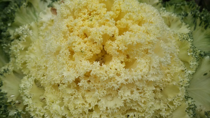 f0374160_23012576.jpg