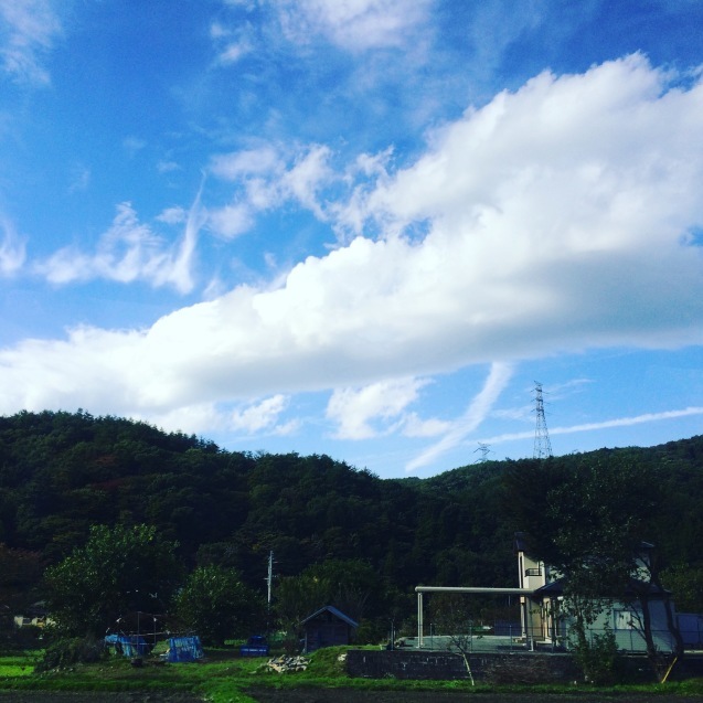 c0195362_13164990.jpeg