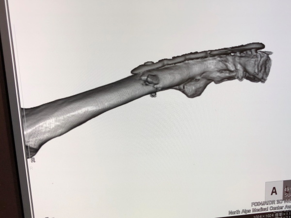 e0338862_14090975.jpg