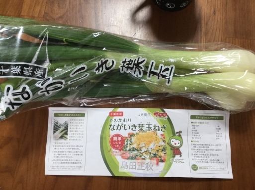 a0053063_13182607.jpeg