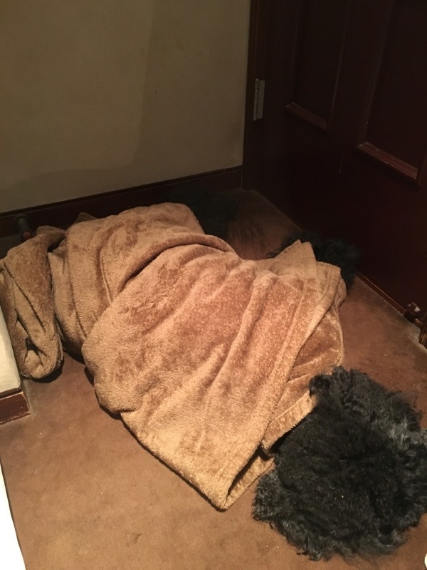 c0283778_10110777.jpeg