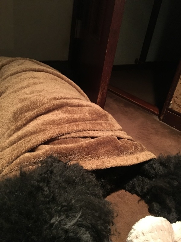 c0283778_10131728.jpeg