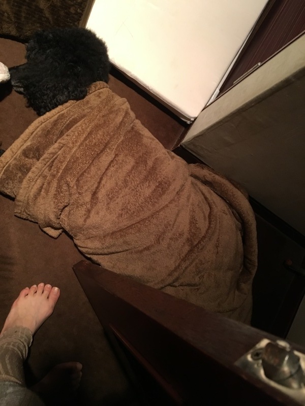 c0283778_10145004.jpeg