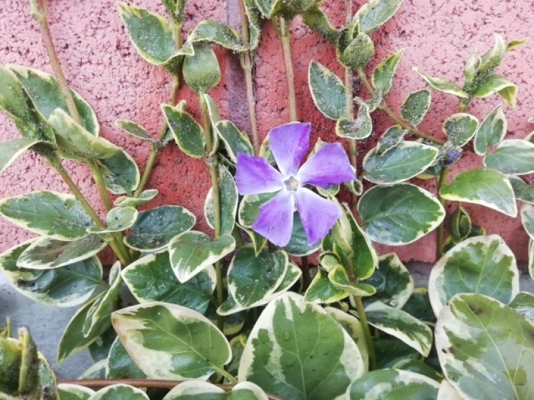 c0212083_17152192.jpg