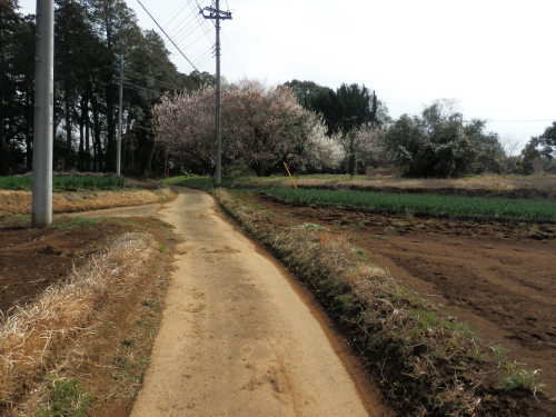 b0334084_21400200.jpg