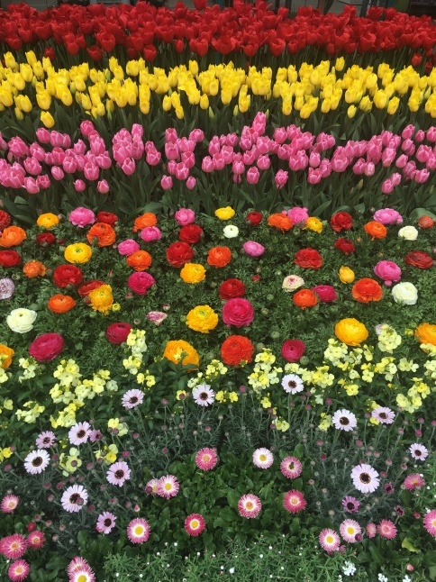 季節の花_a0129492_07554542.jpeg