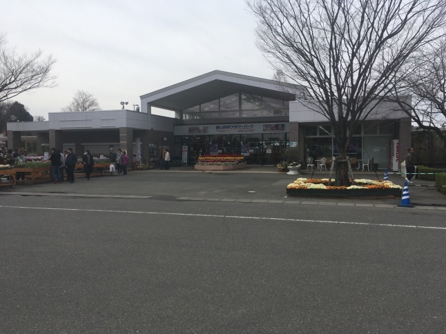 季節の花_a0129492_07570951.jpeg