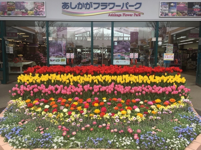 季節の花_a0129492_07580450.jpeg
