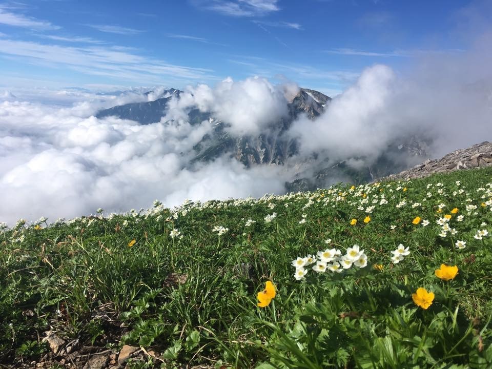 季節の花_a0129492_08210314.jpeg