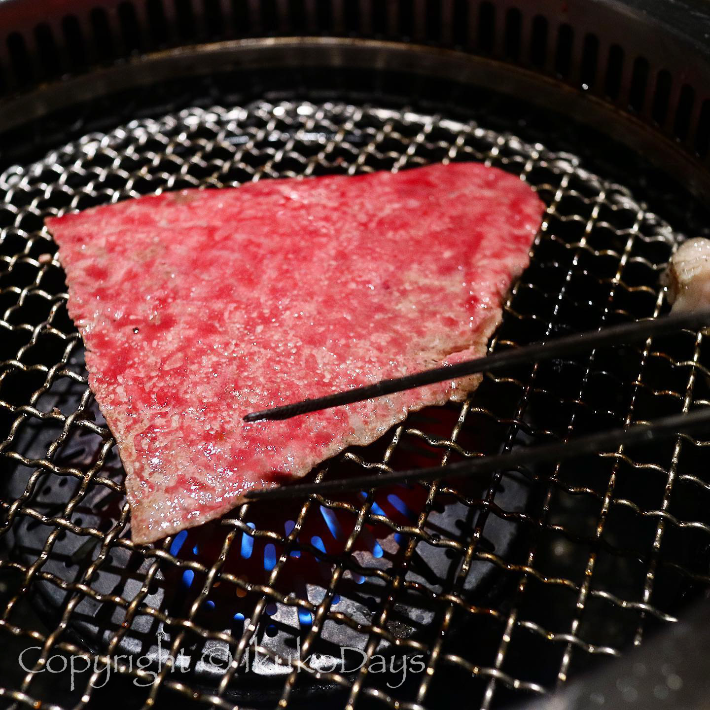 黒毛和牛のユッケや肉寿司などの生肉メニューが充実：『焼肉2+9（にたすきゅう）』大門、浜松町_d0114093_02010032.jpg