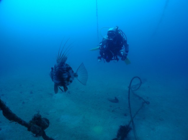 e0115199_17533530.jpg