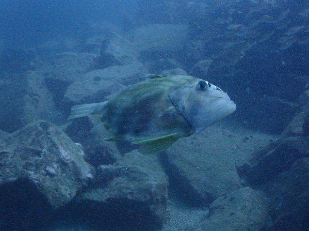 e0115199_17565500.jpg