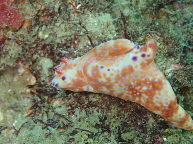 e0115199_17581638.jpg