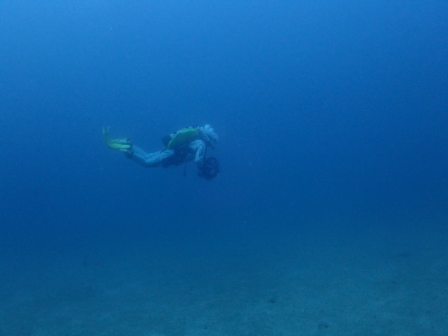 e0115199_18440894.jpg