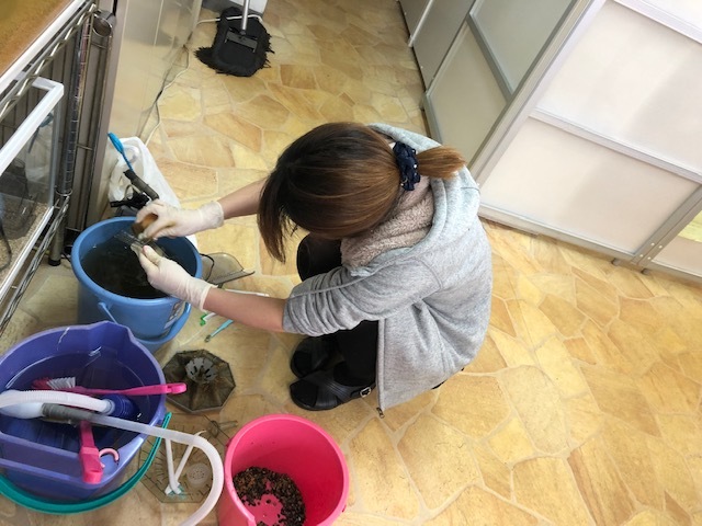 3月12日(火)☆TOMMYアウトレット☆あゆブログヾ(・ω・ ) オデッセイY様納車♪ N様バックオーダーアクア到着☆_b0127002_17411868.jpg