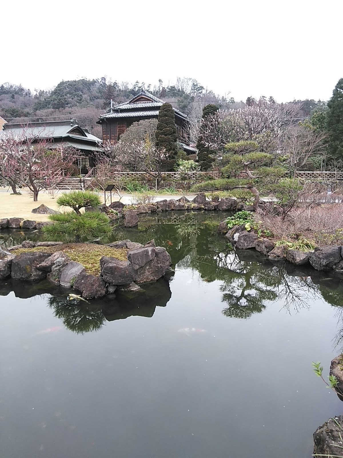 季節ごとにお茶しに行って見よう♪_b0331802_23305527.jpg