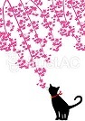 ニコニコ通信 -vol.1-_f0242002_13380770.jpg