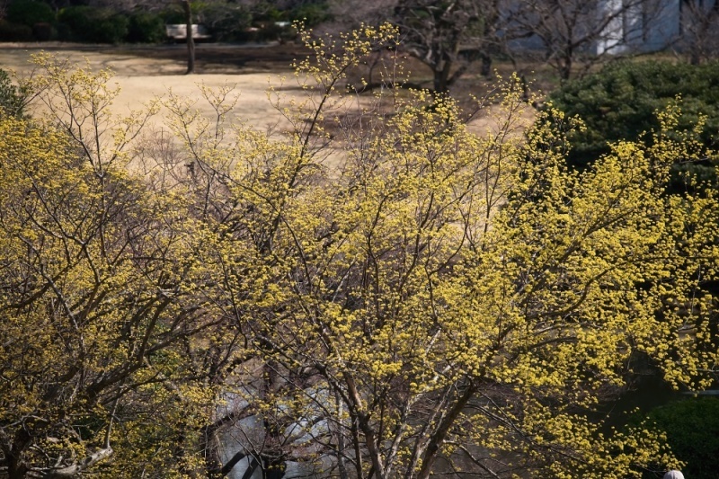 d0376905_20075933.jpg