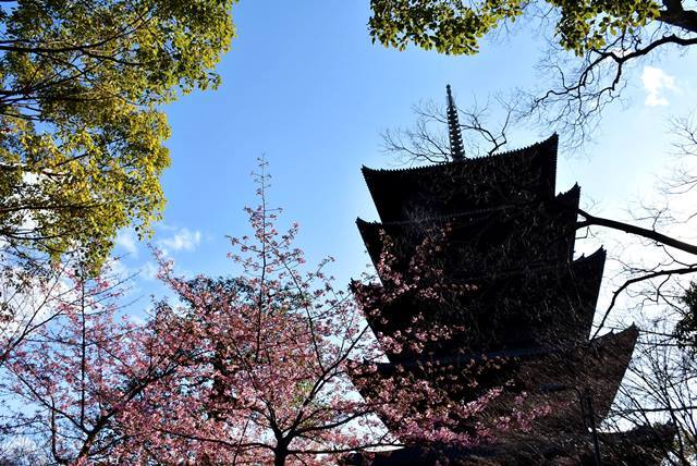 東寺(教王護国寺）_f0361605_21493487.jpg