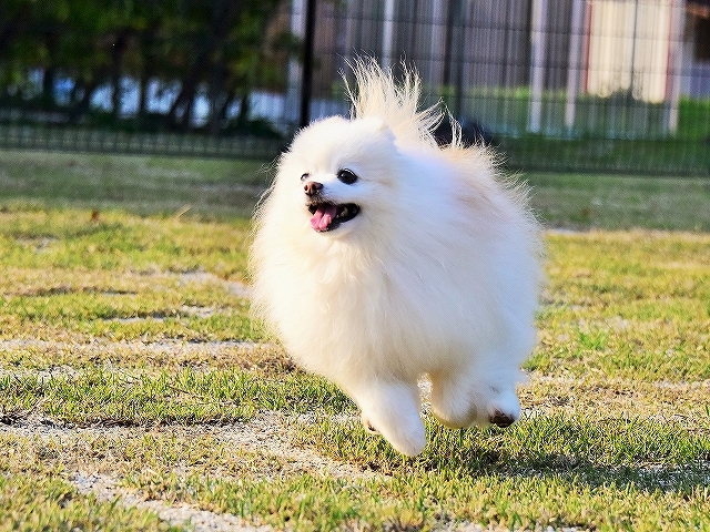 春が来る_d0360206_01583541.jpg