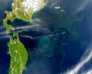a0348309_10485444.jpg