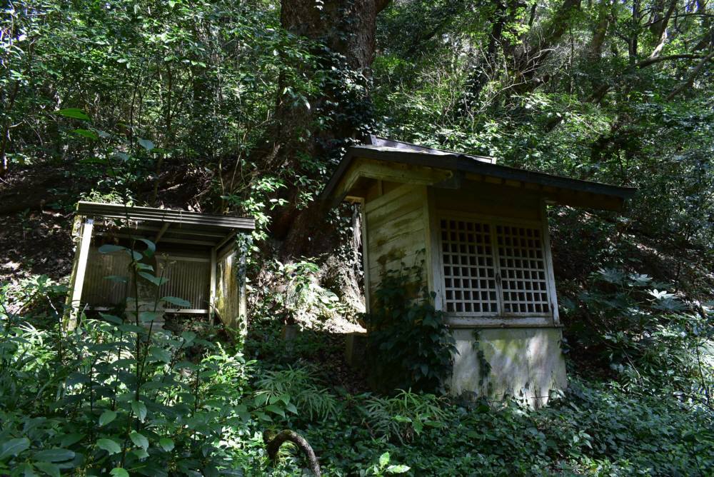 f0212511_22451522.jpg