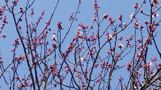 b0352112_17223849.jpg