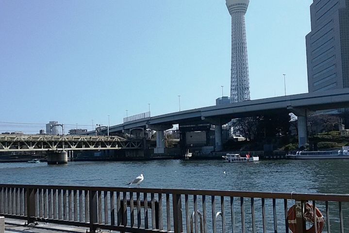 a0166324_22152699.jpg