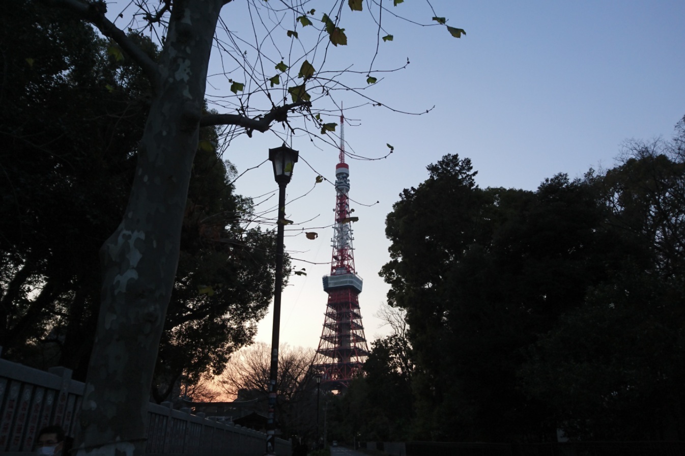 「夕焼けの芝公園から東京タワー」_d0372528_20172688.jpg