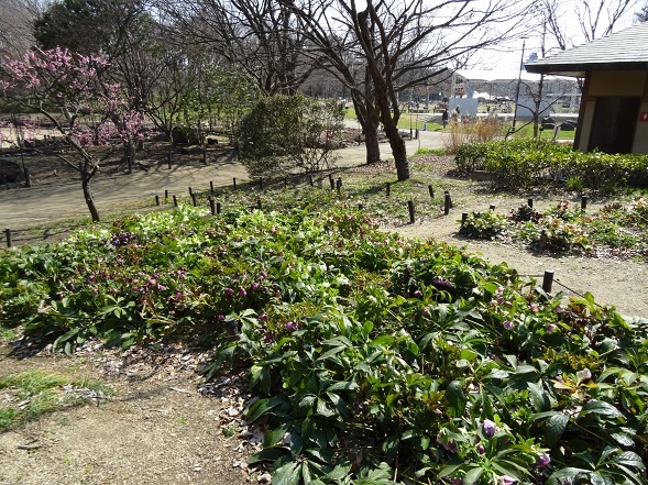 b0299042_12305283.jpg