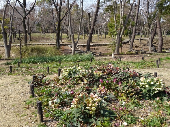 b0299042_12310922.jpg