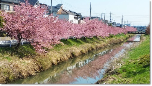 b0404343_12271679.jpg