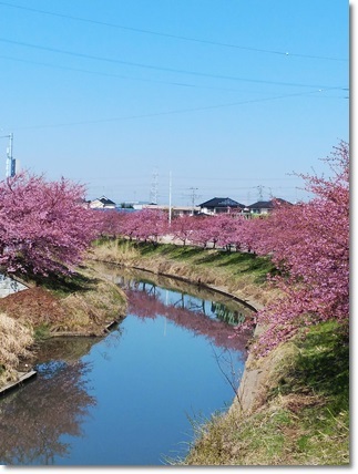 b0404343_12332869.jpg