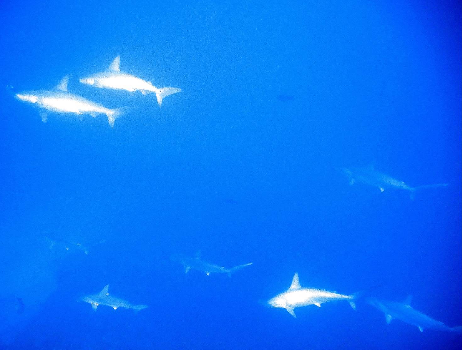 d0113459_18334997.jpg
